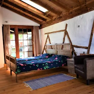 Casa Madera 1 Icod De Los Vinos