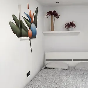 Bed & Breakfast Casa Salvia - Icod - Tenerife, Icod De Los Vinos